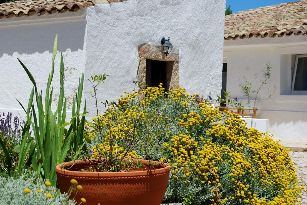 Farmhouse Of The Palms São Brás de Alportel Eksteriør billede